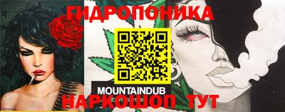 амфетамин Можга