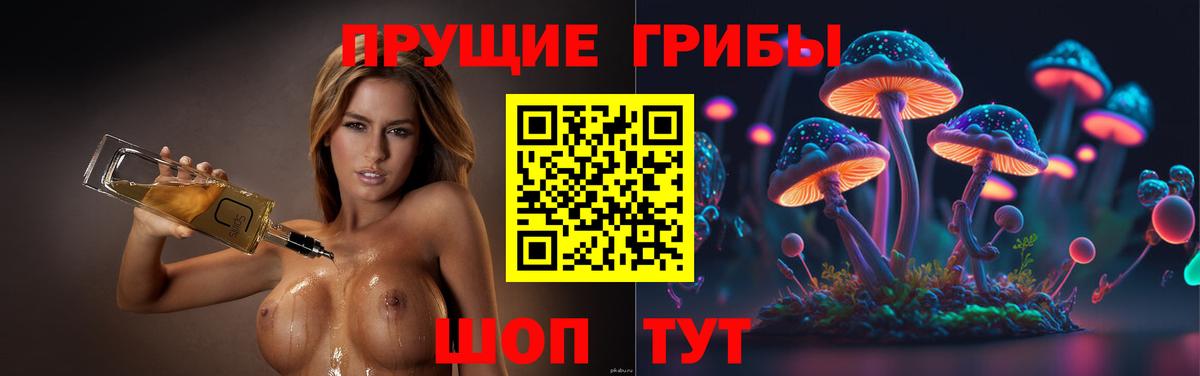 Тимашёвск  Псилоцибиновые грибы ЛСД  Вход с VPN  купить наркотики сайты  Галлюциногенные грибы мицелий 